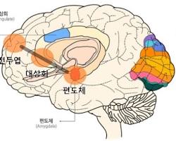 감정 조절 방법 다이어그램 이미지